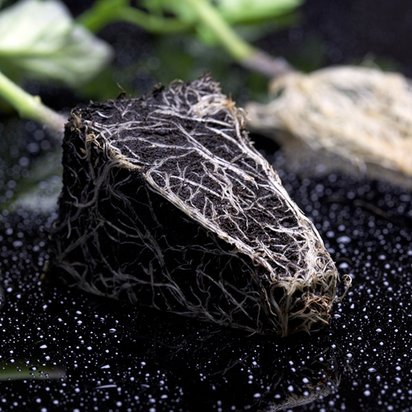 Organics and Biologicals