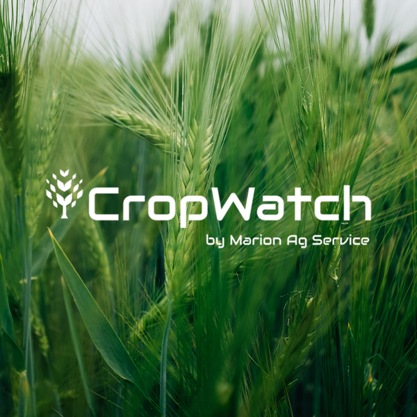 CropWatch by Marion Ag Service